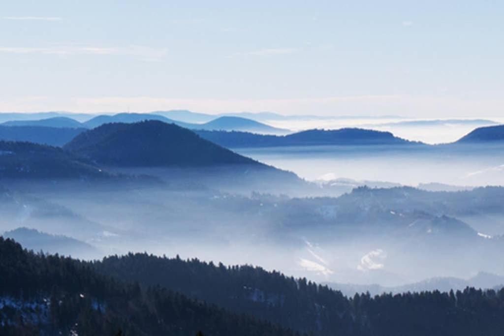 Schwarzwald - Gemuetliches 2 Zimmer Apartment! Dunningen Dış mekan fotoğraf